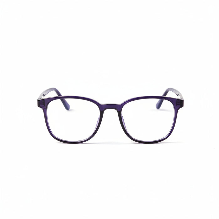 Computer screen protection glasses