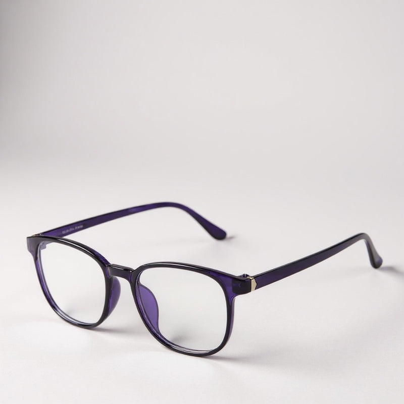 Computer screen protection glasses