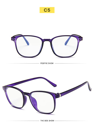 Computer screen protection glasses